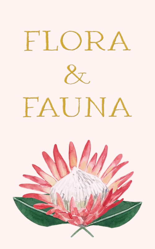 Flora and Fauna art and pattern gallery