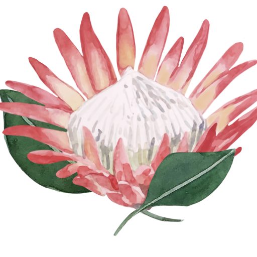 LeAnne Nowell design